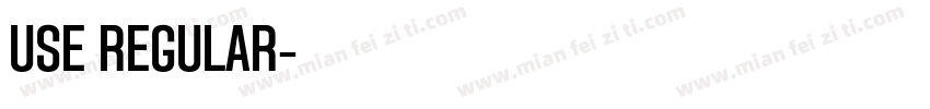 Use Regular字体转换